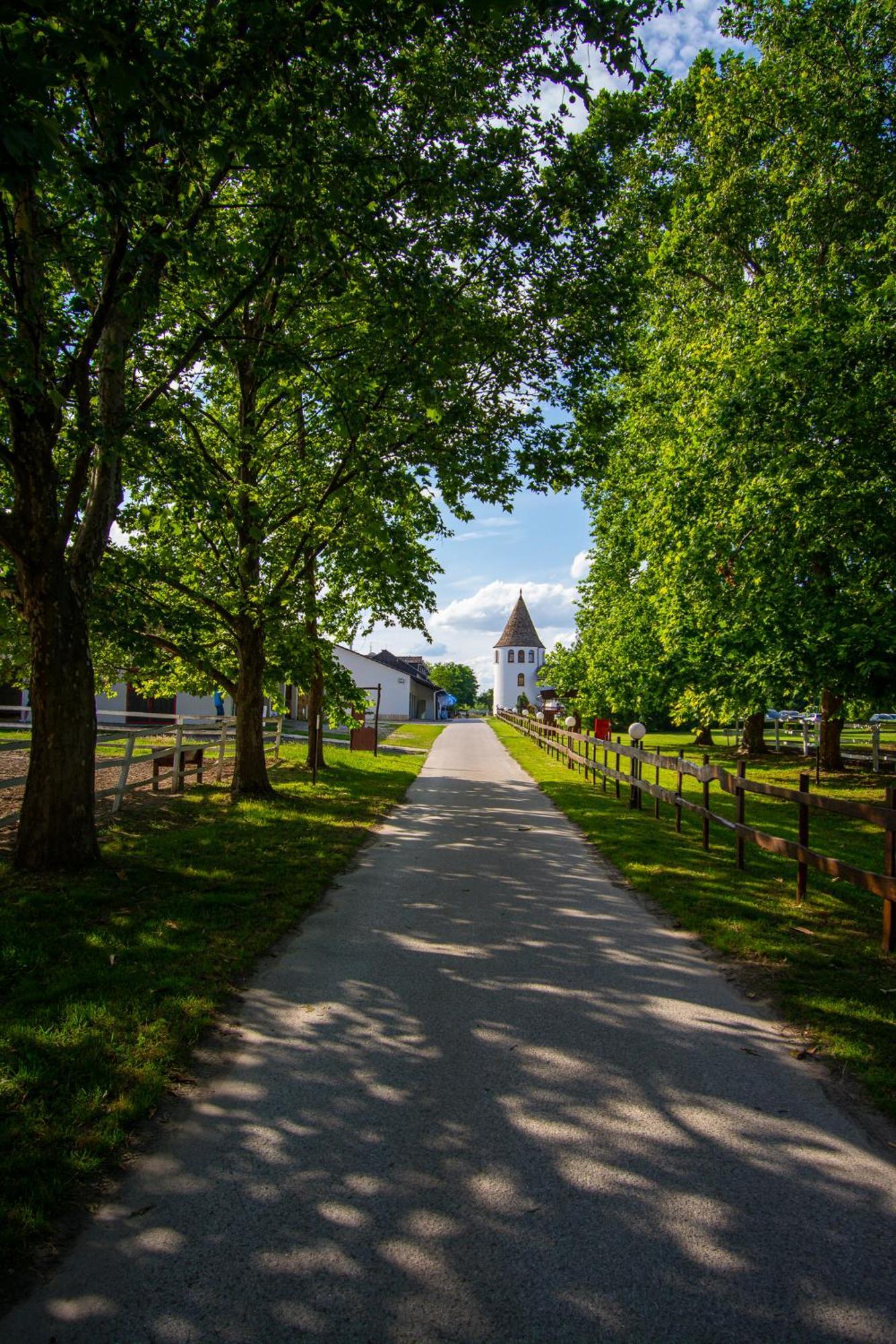 Hotel Villa Majur Subotica Eksteriør billede